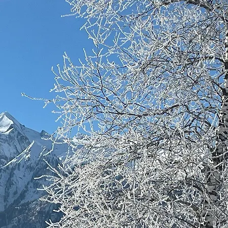 Nr 21 Haus Voglreiter Apartman