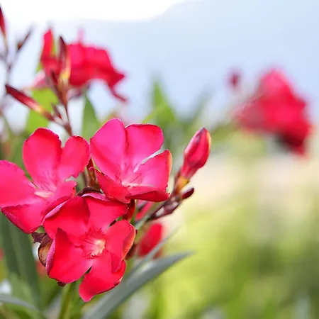 Nr 21 Haus Voglreiter