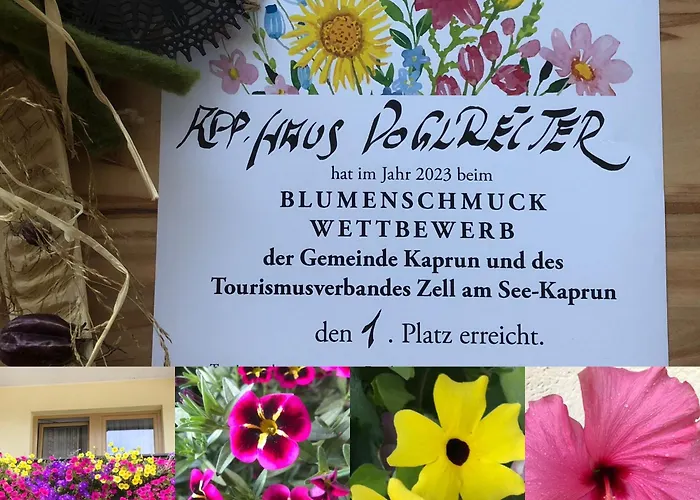 Nr 21 Haus Voglreiter Daire