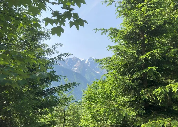 Nr 21 Haus Voglreiter Daire