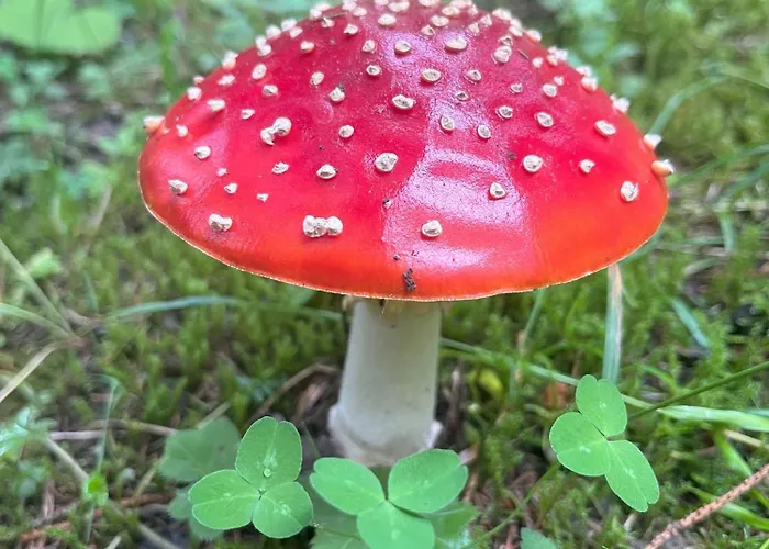 Daire Nr 21 Haus Voglreiter