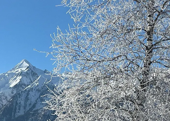 Nr 21 Haus Voglreiter Daire