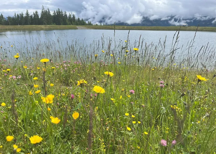 Διαμέρισμα Nr 21 Haus Voglreiter