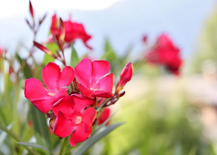 Nr 21 Haus Voglreiter